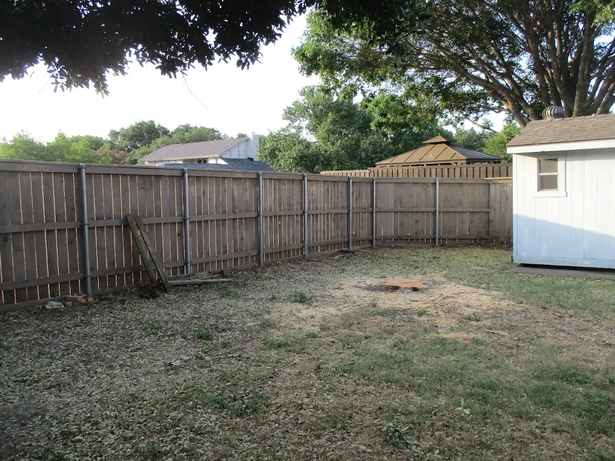 Cleared yard after professional tree removal in South Haven